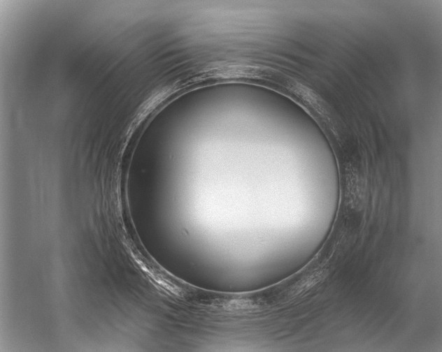 X0000060230986200510281130