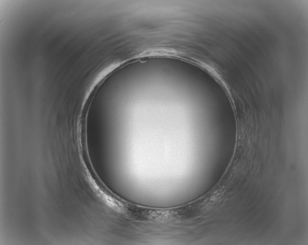 X0000060231003200510281129