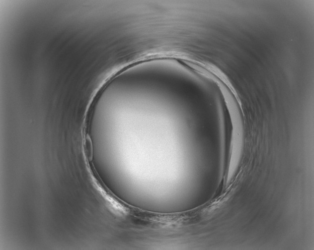X0000060231005200510281129