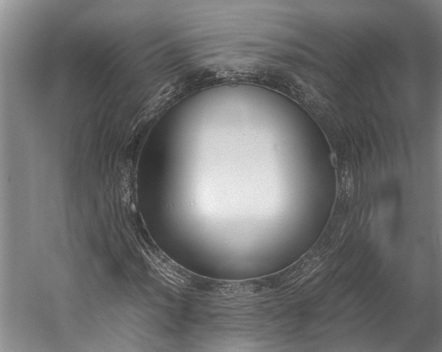 X0000060231012200510281129