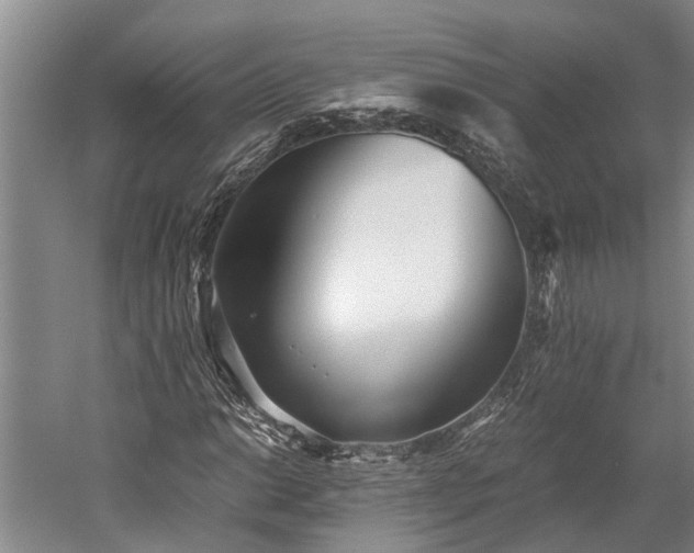 X0000060231014200510281129