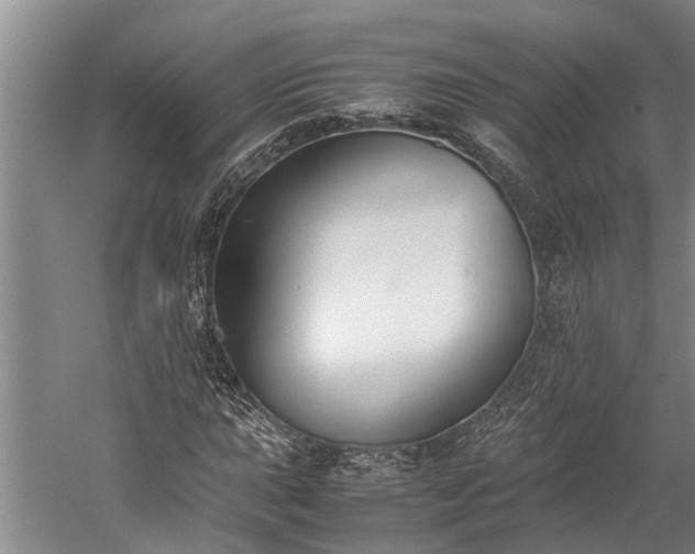 X0000060231015200510281129
