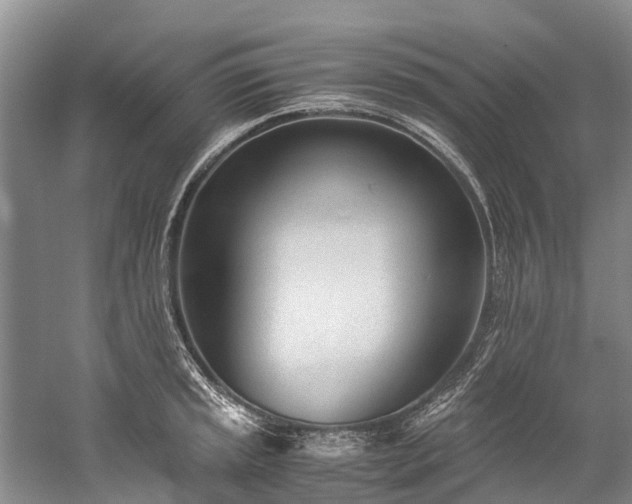 X0000060231045200510281129