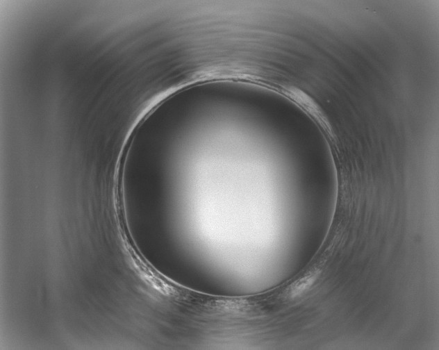 X0000060231052200510281129