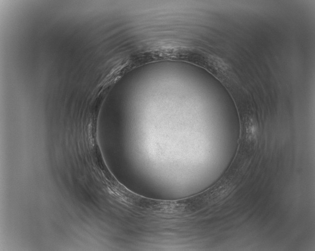 X0000060231060200510281128