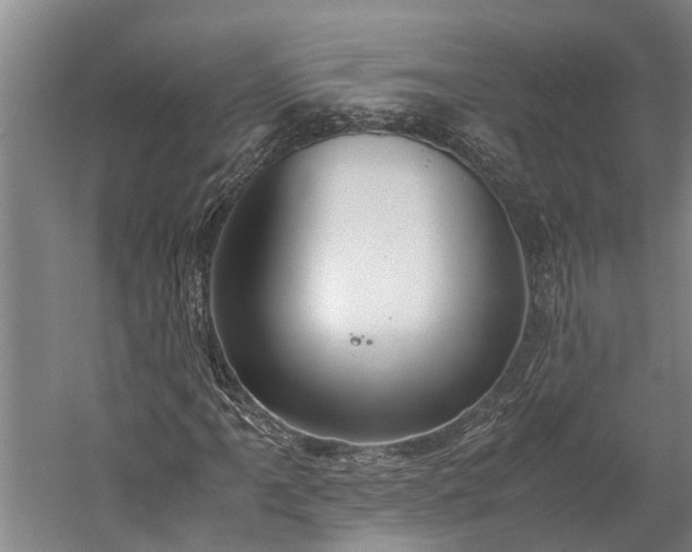 X0000060231061200510281128