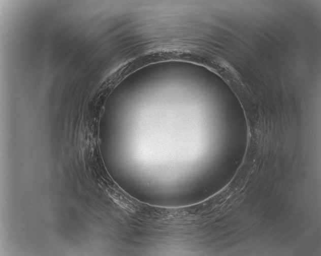 X0000060231064200510281128
