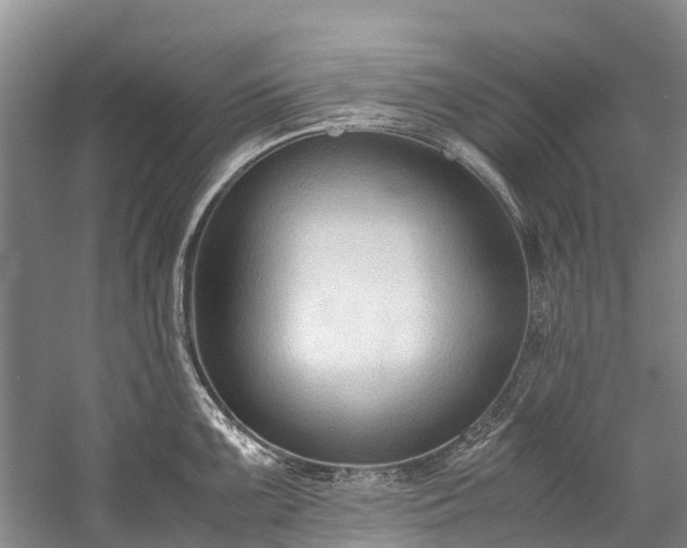 X0000060231099200510281128