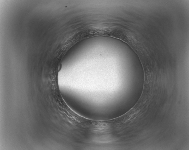 X0000060231109200510281127