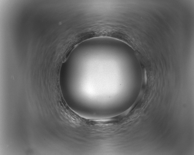 X0000060231153200510281127