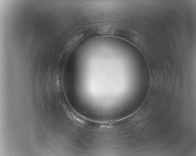 X0000060231154200510281127