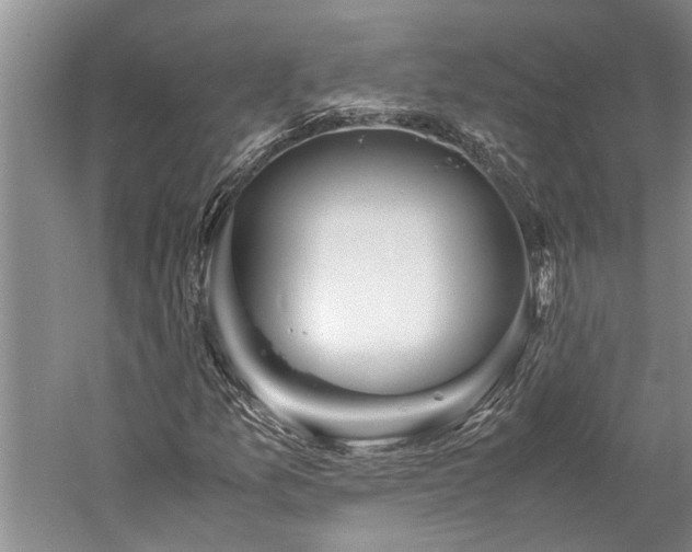 X0000060231157200510281127