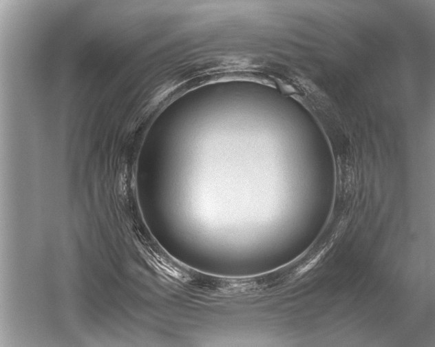 X0000060231161200510281127