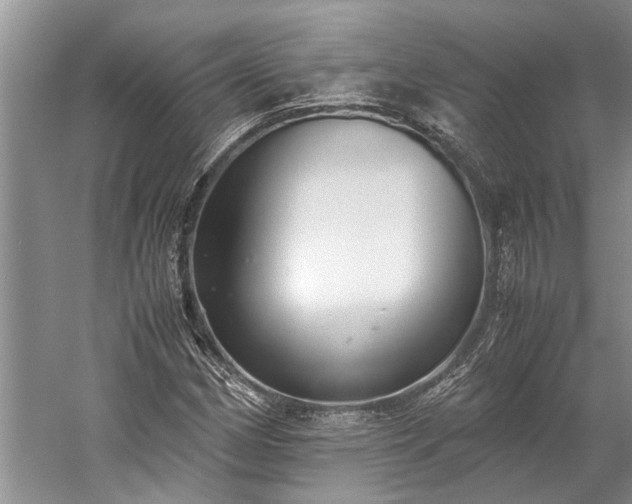 X0000060231162200510281127