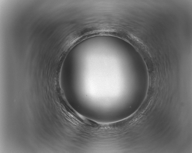 X0000060231169200510281127