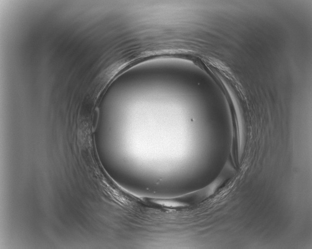 X0000060231177200510281126