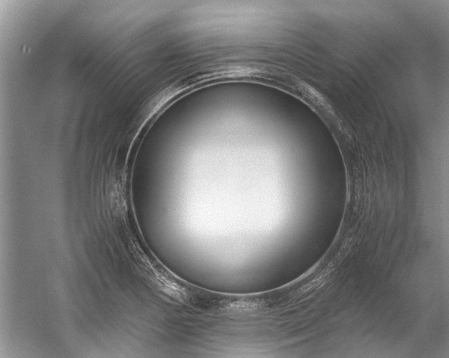 X0000060231178200510281126