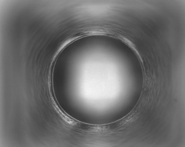 X0000060231195200510281126