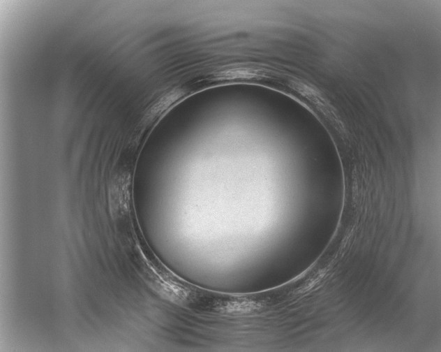 X0000060231233200510281126