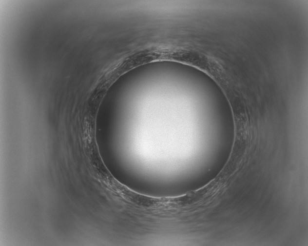 X0000060231253200510281125