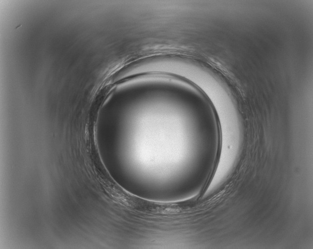 X0000060231261200510281125