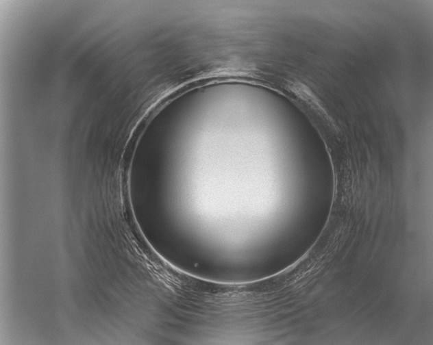 X0000060231268200510281125