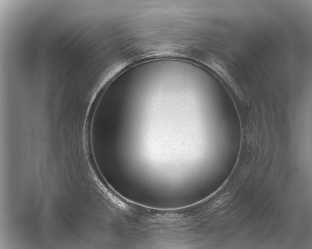 X0000060231285200510281125