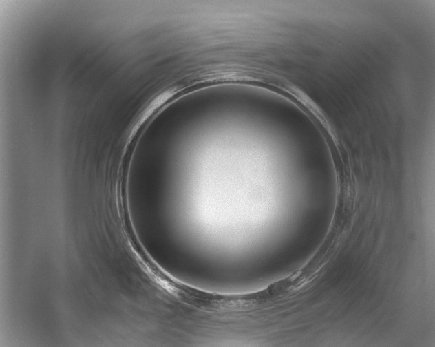 X0000060231293200510281124