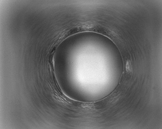 X0000060231299200510281123