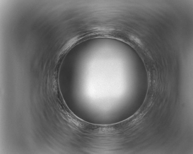 X0000060231354200510281123