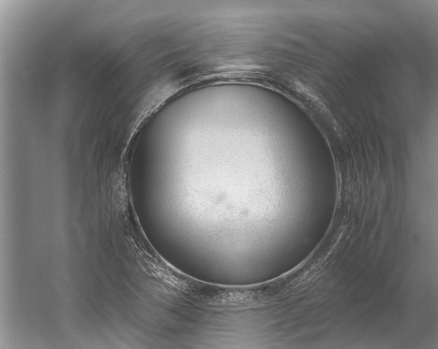 X0000060231362200510281123