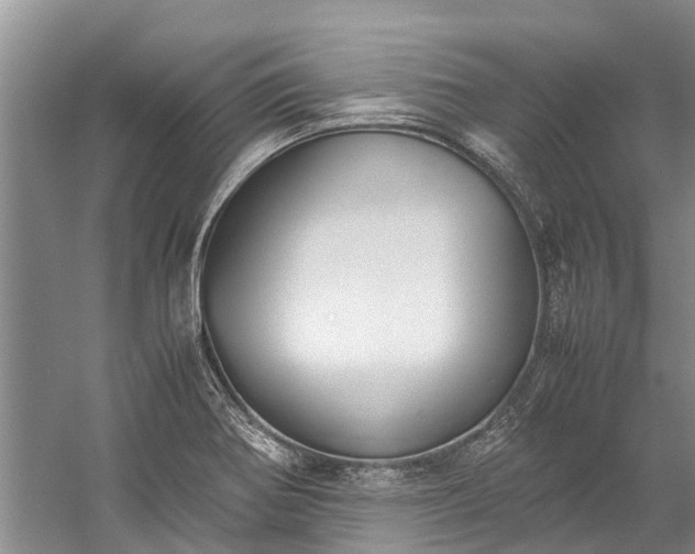 X0000060231370200510281123
