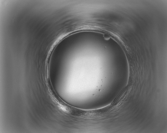 X0000060231371200510281123