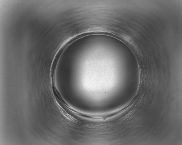 X0000060231372200510281123