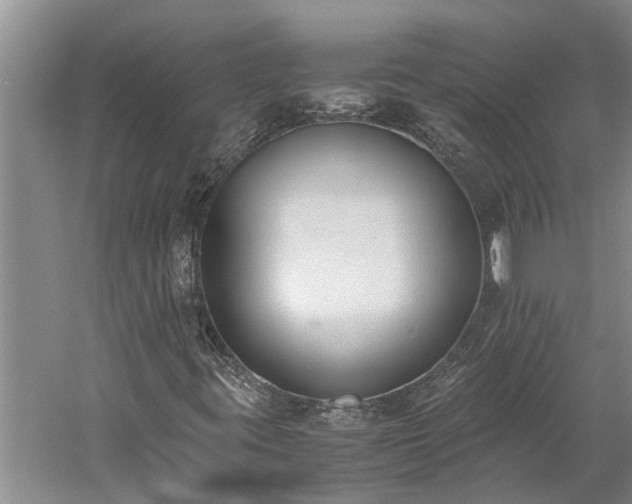 X0000060231395200510281122