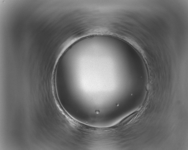 X0000060231440200510281122