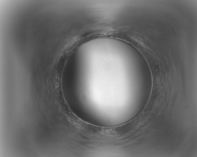 X0000060231447200510281121