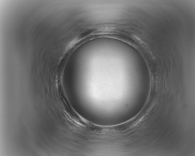 X0000060231449200510281121