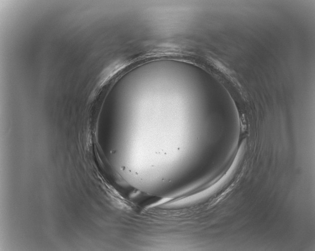 X0000060231453200510281121