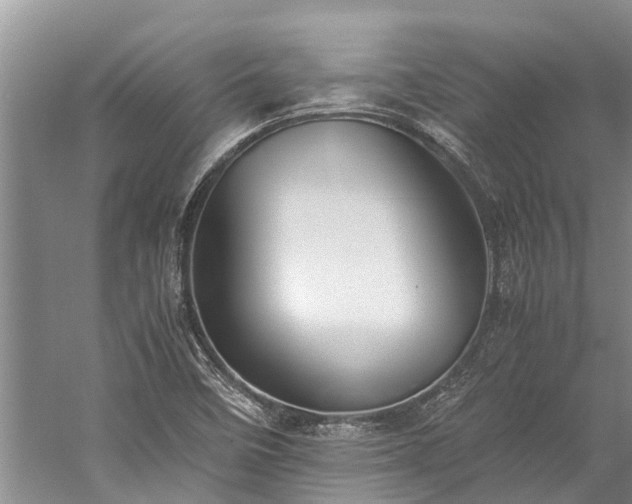 X0000060231458200510281121