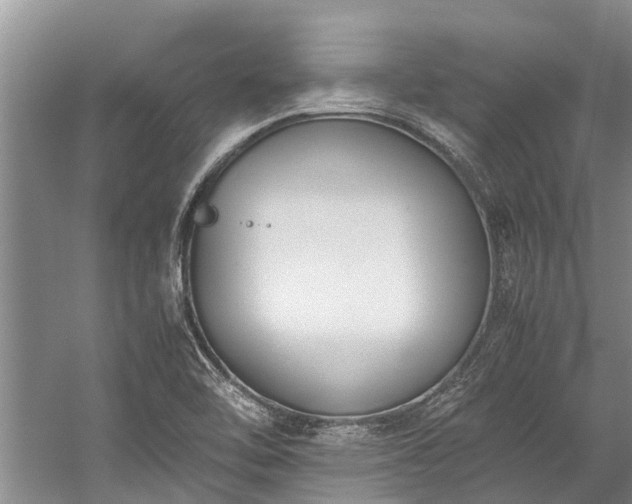 X0000060231462200510281121