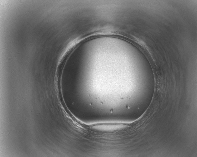 X0000060231464200510281121