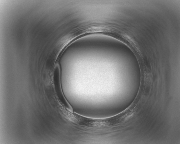 X0000060231465200510281121