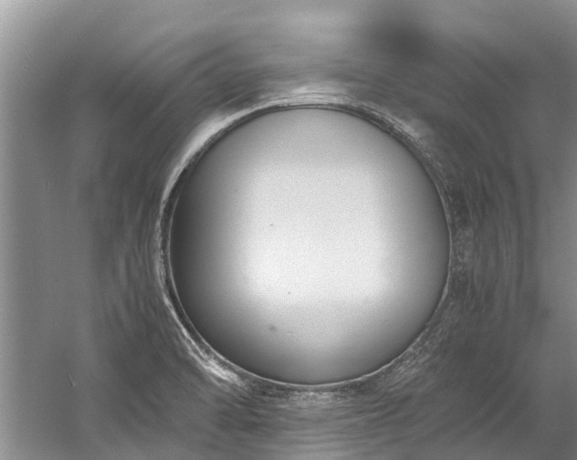 X0000060231470200510281121