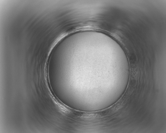 X0000060231474200510281121