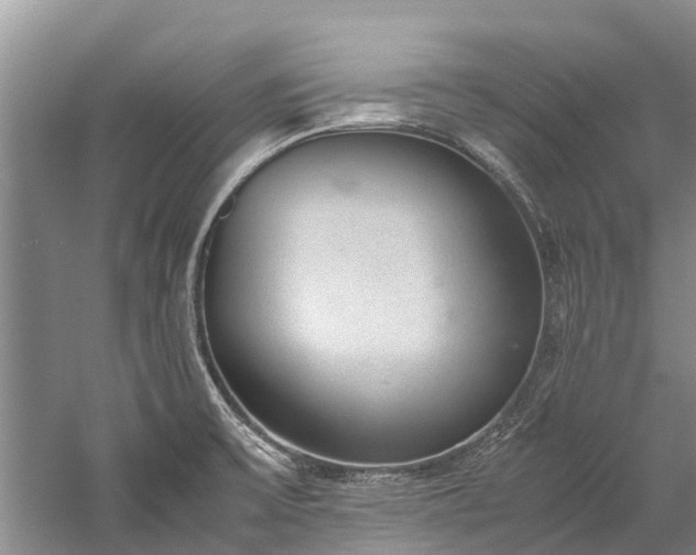 X0000060231475200510281121