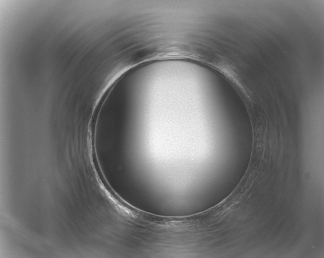 X0000060231476200510281121