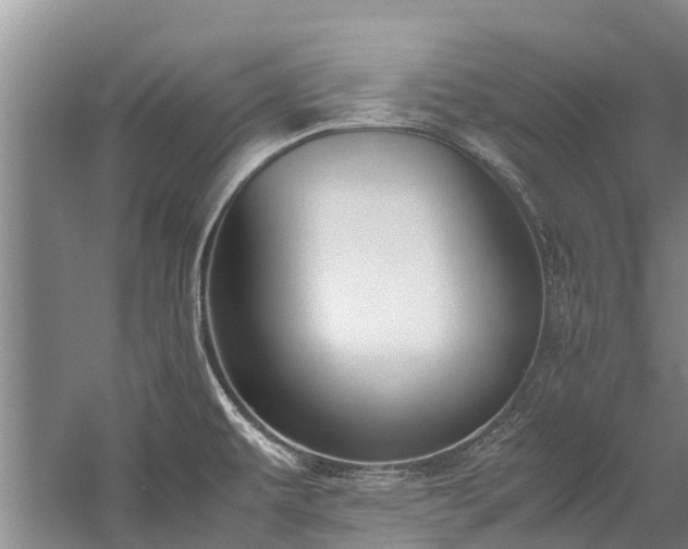 X0000060231479200510281121
