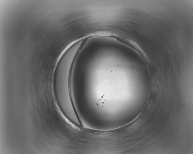 X0000060231484200510281121