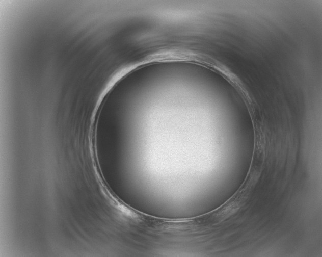 X0000060231486200510281121